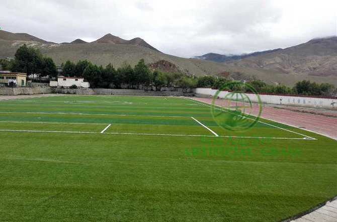 西藏中學學校足球場人造草坪圖片